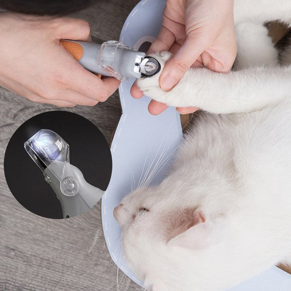 Utilisation coupe griffes sur chat