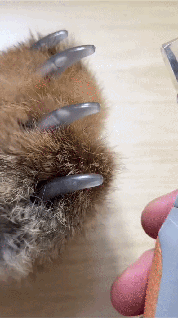 GlowTrim™ LED Pet Nail Clipper