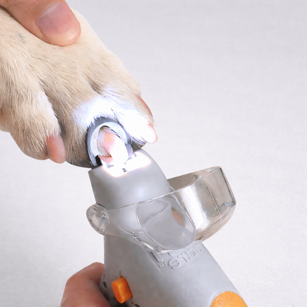 Lumière LED coupe griffes chien